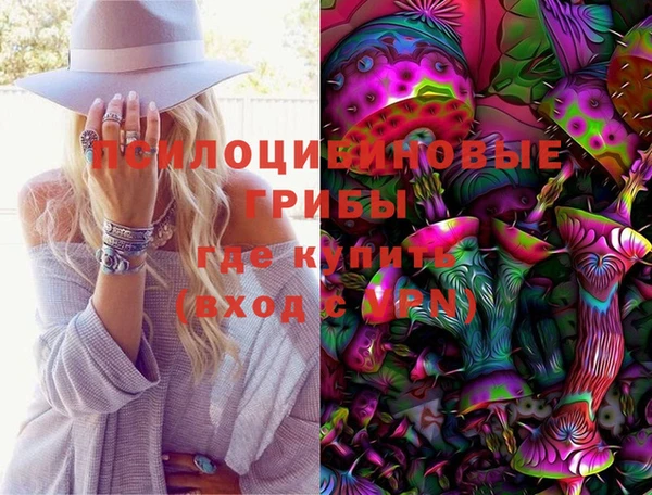 спайс Алексин